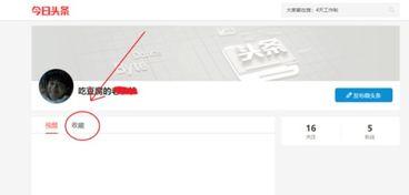 收藏的头条如何看到,[具体主题]深度解析与关键要点