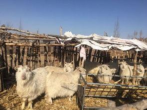 陕西千亿矿产案爆料视频,惊天爆料视频曝光内幕