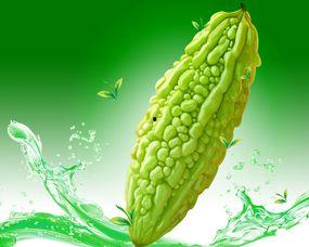 吃瓜树下你和我,你我共话人间烟火