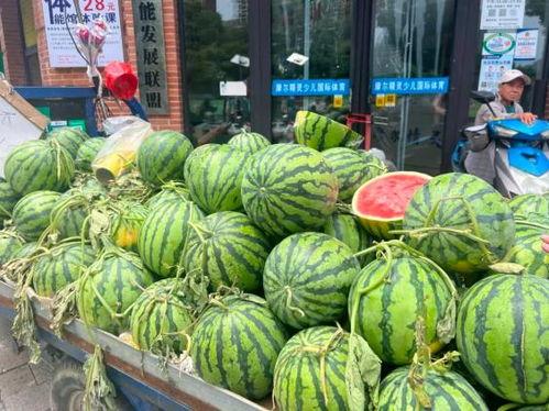 带你吃瓜水果,尽享夏日美味之旅