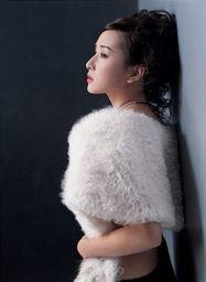 中戏明星,中戏明星的璀璨人生与艺术之路