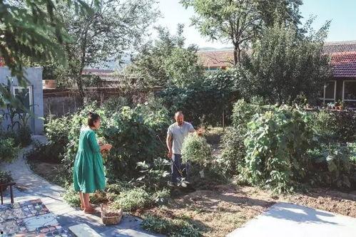 网红夫妇盖院子照片,庭院美景如画